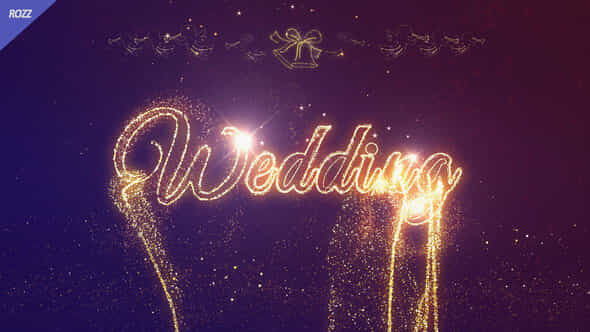 Wedding Celebrate - VideoHive 58649843