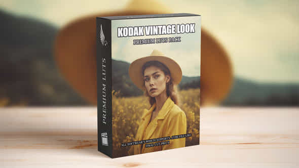 Retro Kodak Style Luts Professional Cinematic Color Grading Luts Collection - VideoHive 50487174