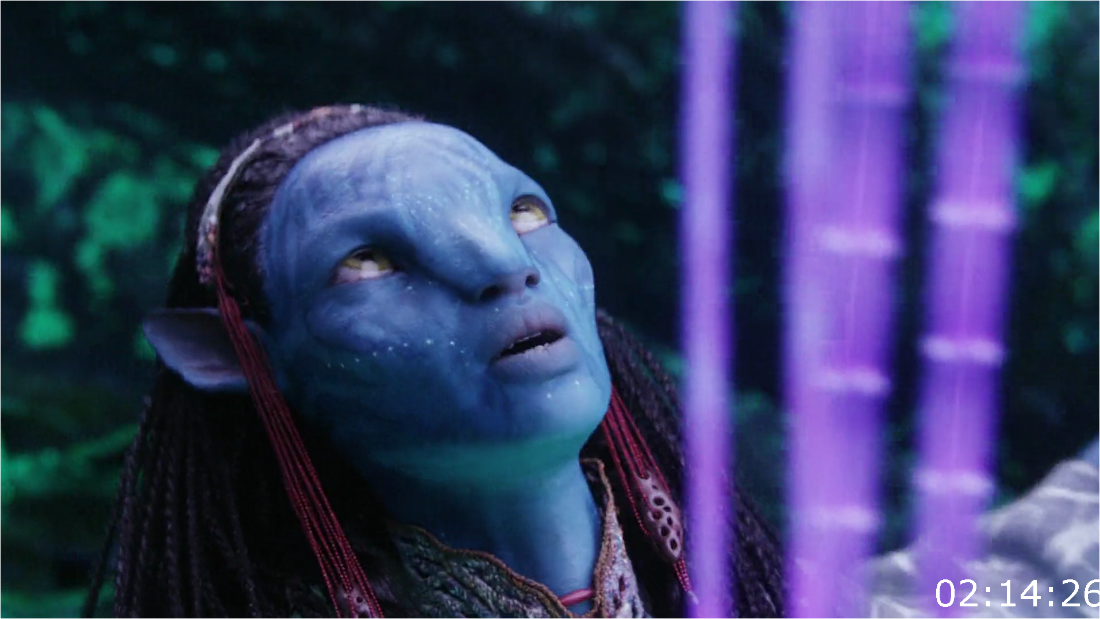 Avatar (2009) EXTENDED REPACK [1080p] BluRay (x264) [6 CH] Dlsaaqgn_o