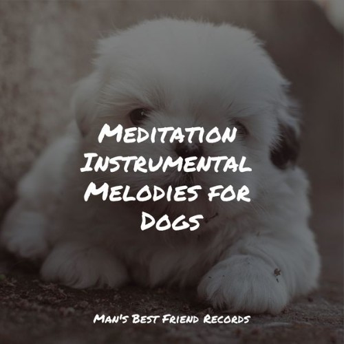 Relaxmydog - Meditation Instrumental Melodies for Dogs - 2022