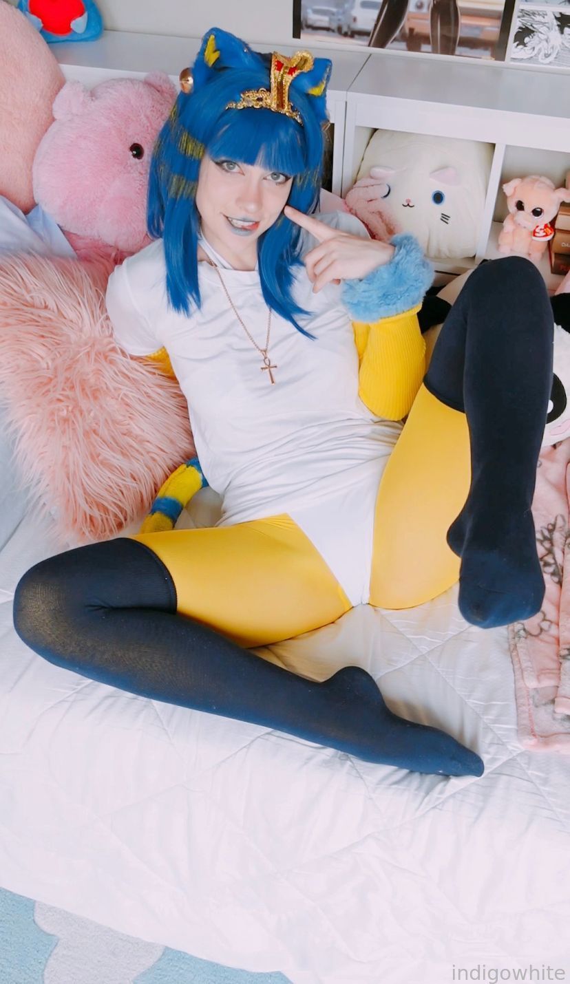 Indigo White - Ankha