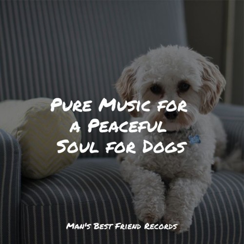 Pet Care Music Therapy - Pure Music for a Peaceful Soul for Dogs - 2022