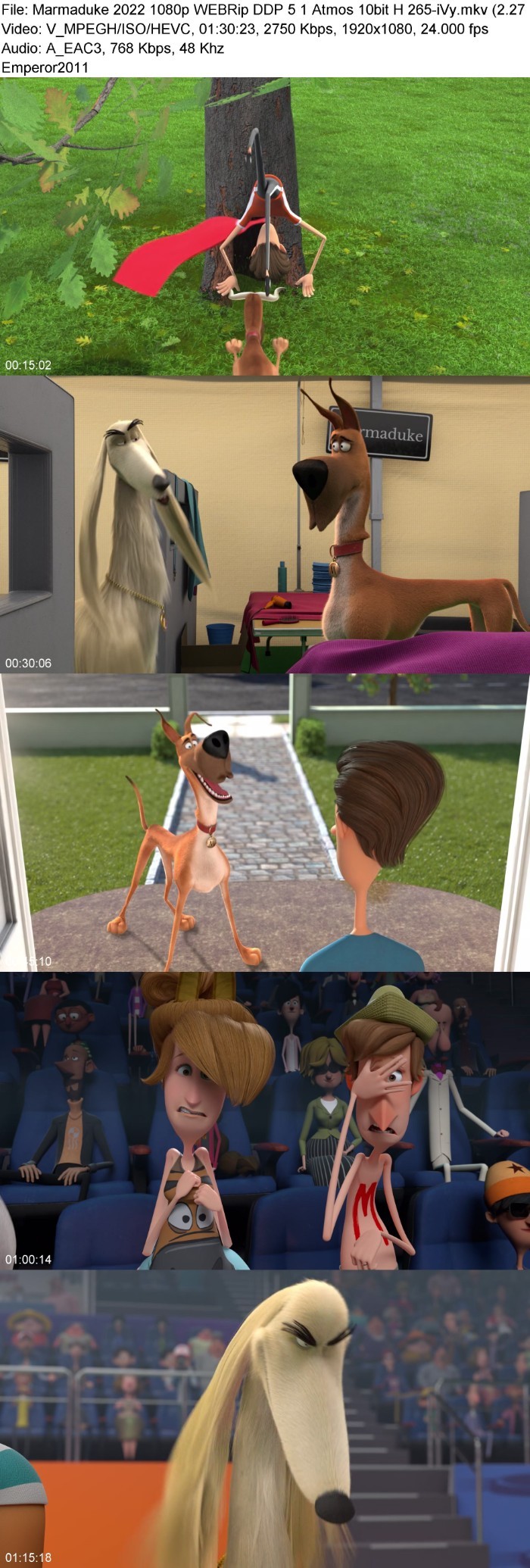 unuQN3uW_o.jpg