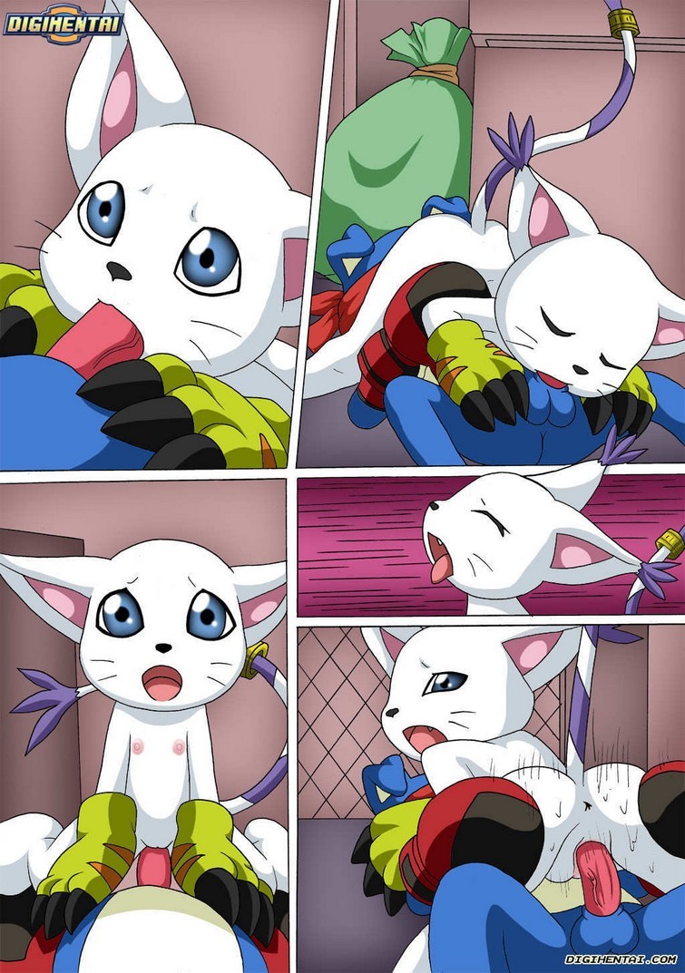 Gatomon en Celo 2 - 18