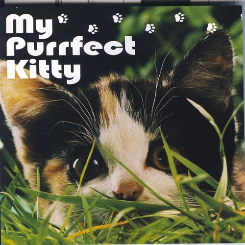 The Hit Crew - My Pufffect Kitty - 2007