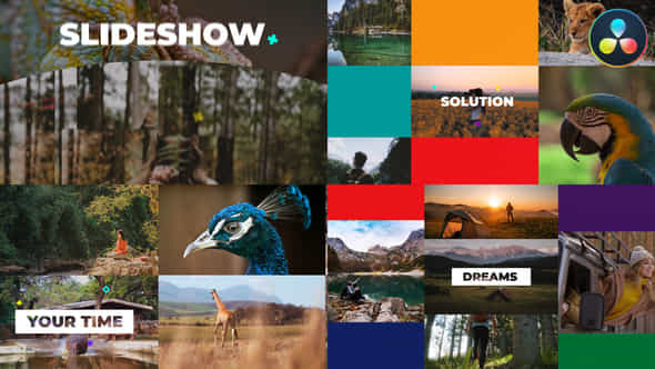 Multiscreen Slideshow For Davinci Resolve - VideoHive 50053858