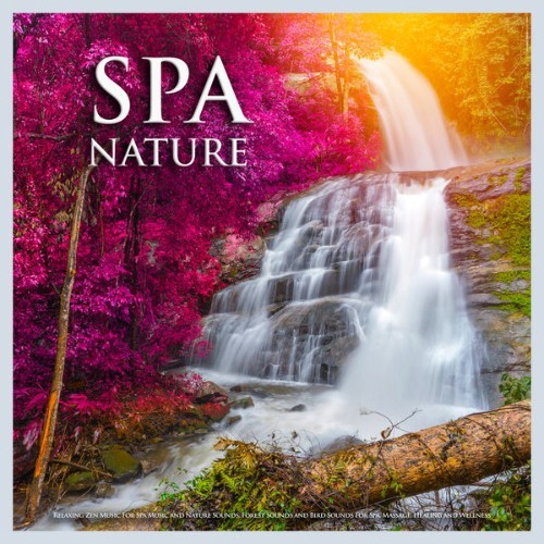 Spa Music Relaxation - Spa Nature Relaxing Zen Music For Spa Music and Nature Sounds, Forest Soun...