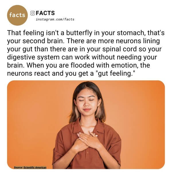 FACTS YOU DIDN'T WANT TO KNOW 11 SgJpKfgj_o