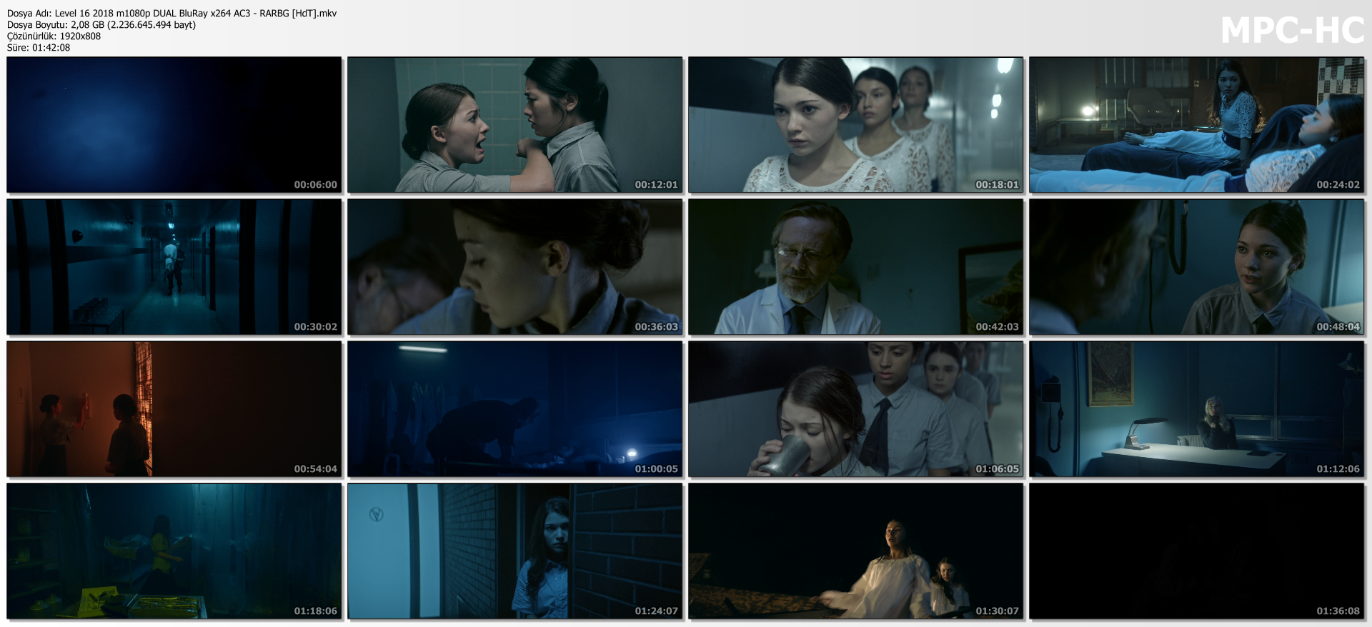 Level 16 1080p Türkçe dublaj