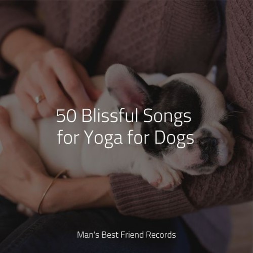 Music for Pets Library - 50 Blissful Songs for Yoga for Dogs - 2022