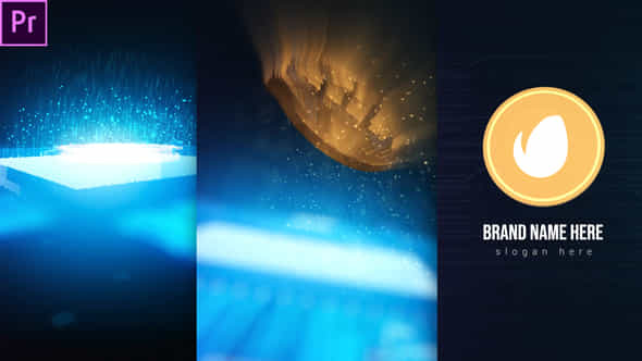 Bitcoin Logo Reveal - VideoHive 32095179