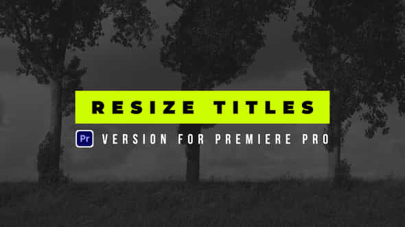 Resize Titles - VideoHive 44317713