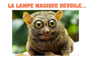 LA LAMPE MAGIQUE - Page 14 HQqpiVHK_o