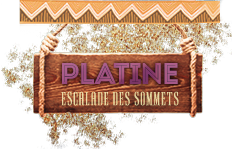 Platine Platine