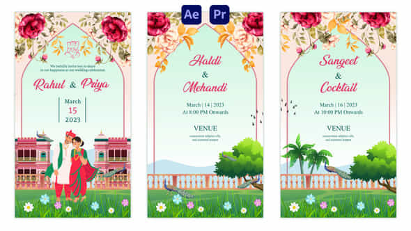 Indian Wedding Invitation Instagram Story - VideoHive 57161558