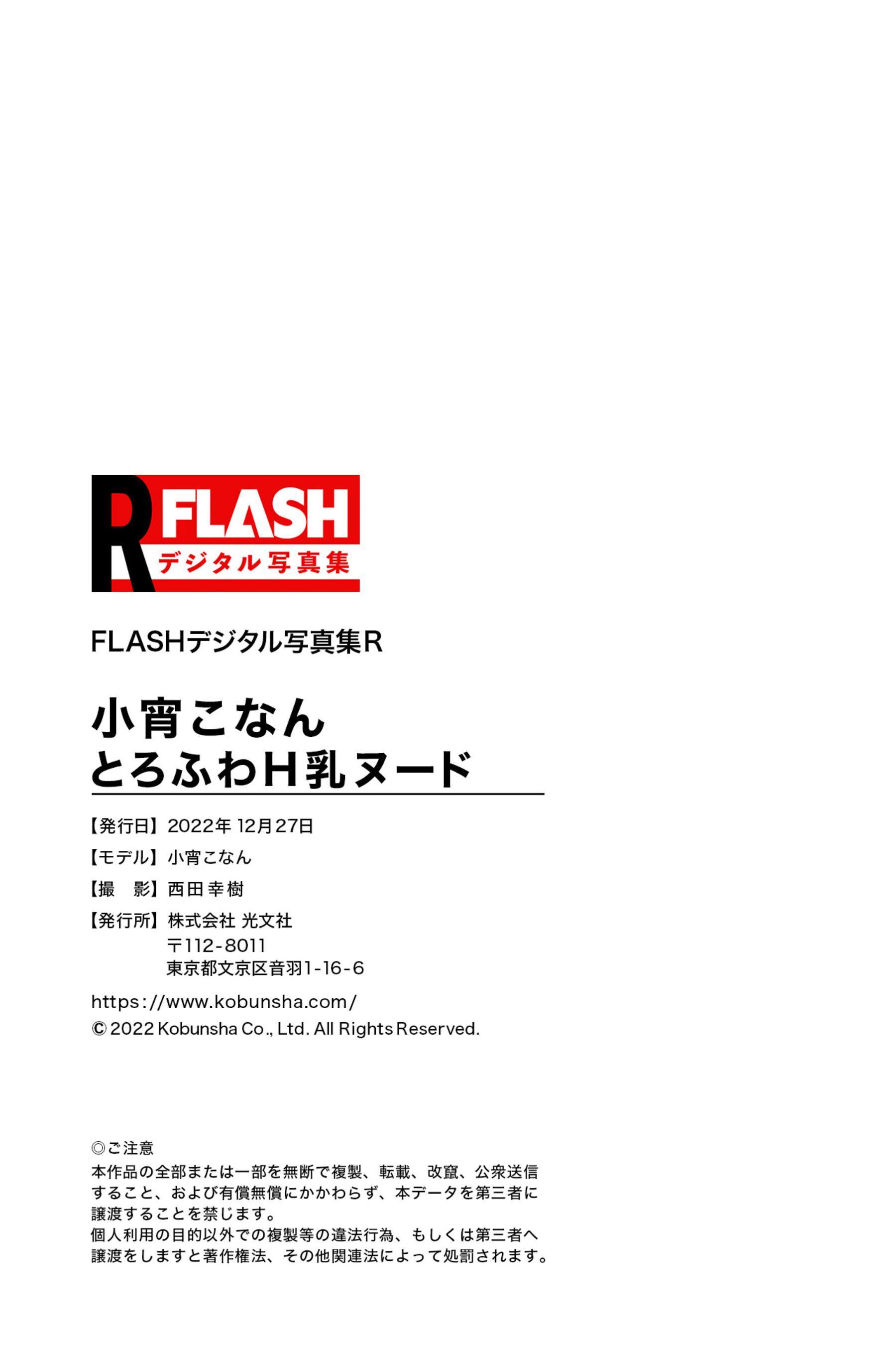 FLASHデジタル写真集 小宵虎南《とろふわH乳ヌード》(102)