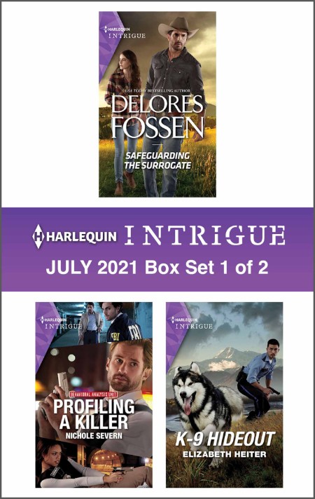 Harlequin Intrigue July 2021 Box Set 1 of 2 by Delores Fossen