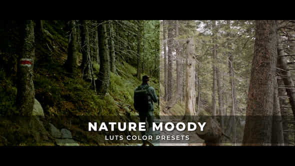 Nature Moody Luts - VideoHive 43385526