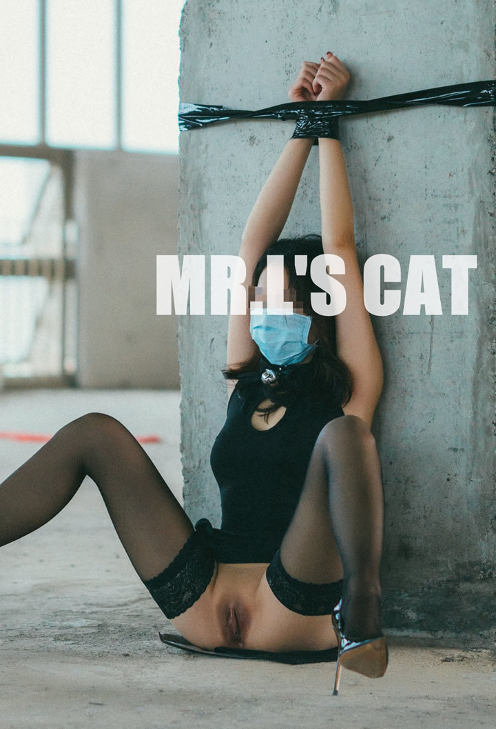 Miss Twitter Mr. L's Meow Outdoor Welfare Collection 19