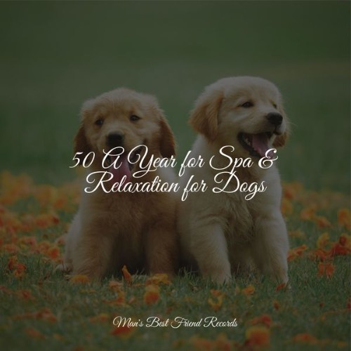 Music For Dogs - 50 A Year for Spa & Relaxation for Dogs - 2022
