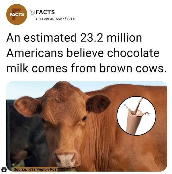 INSTAGRAM FACTS WhWaEBFl_o