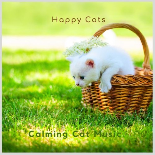 Calming Cat Music - Happy Cats - 2021