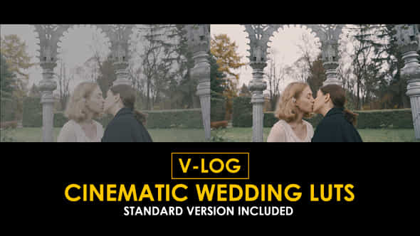 Vlog Cinema Wedding And Standard Luts - VideoHive 51434438