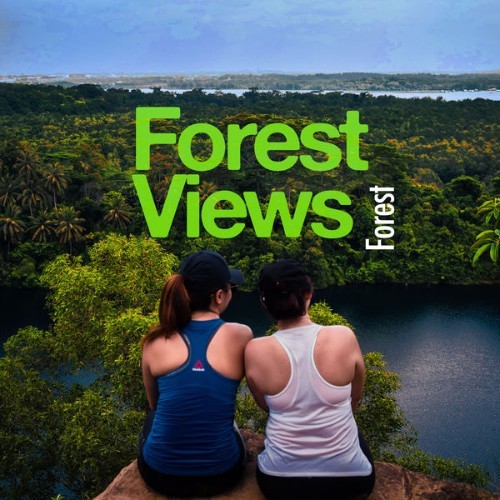 Forest - Forest Views - 2019