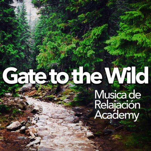 Relajacion del Mar - Gate to the Wild - 2019