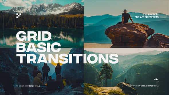 Basic Grid Transitions - VideoHive 38621188