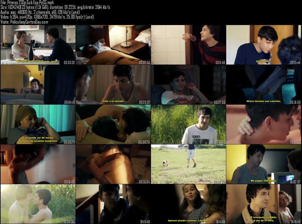 [AHORA EN HD!] PRIMOS - PELÍCULA GAY - Brasil - 2019 – PeliculasyCortosGay.com - Peliculas - PeliculasyCortosGay.com