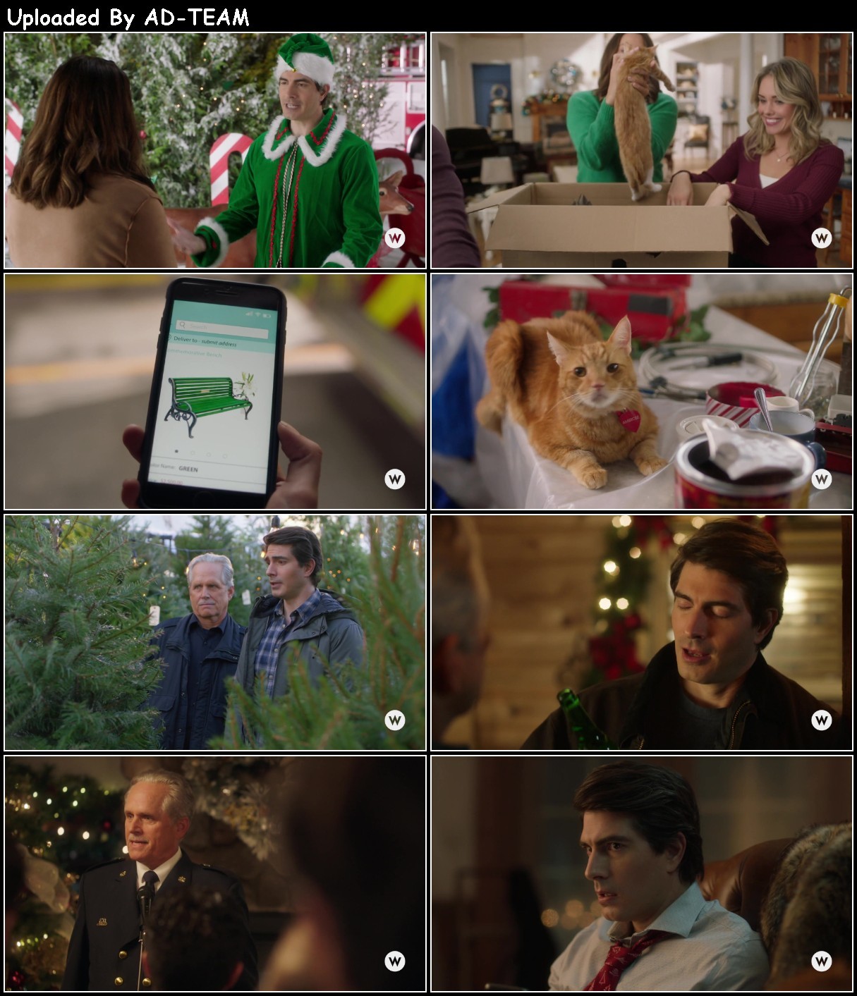 The Nine Kittens of Christmas 2021 1080p WEBRip x264-RARBG TkU3qUcU_o