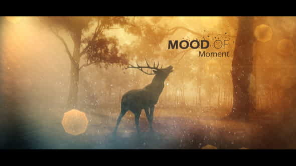 Mood Of Moments Parallax Opener - VideoHive 20672854
