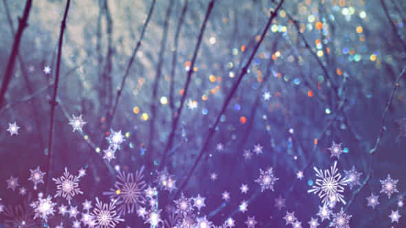 Snowflakes Overlays - VideoHive 9697427