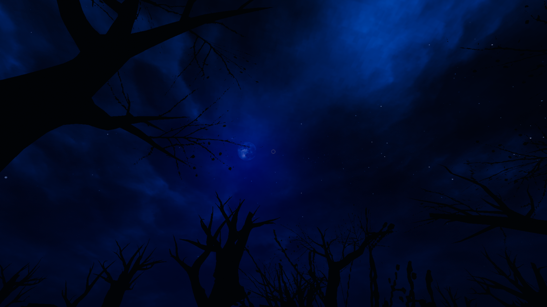 A blue tinted night sky