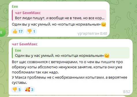 5kg1IR7h_o.png