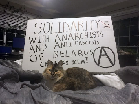 Solidarity with anarchists and antifascists of Belarus