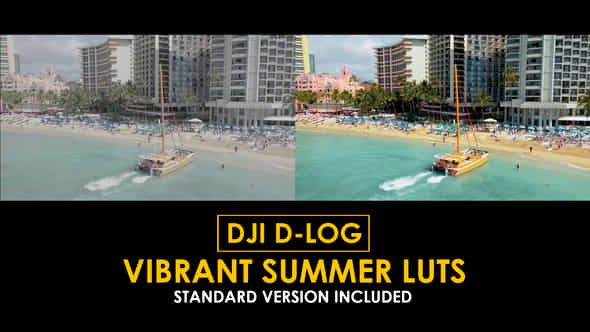 Dji Dlog Vibrant Summer Luts - VideoHive 50807838