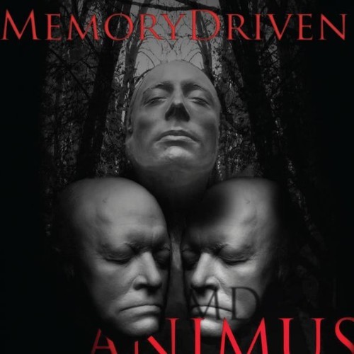 Memory Driven - Animus - 2013