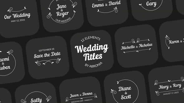Wedding Titles - VideoHive 44317849
