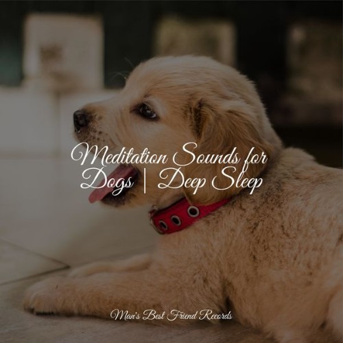 Relaxation Music For Dogs - Meditation Sounds for Dogs  Deep Sleep - 2022