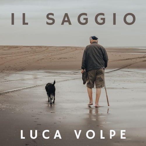 Luca Volpe - Il Saggio - 2021