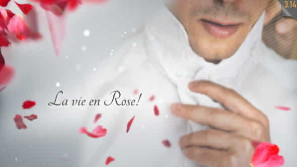 La Vie en Rose - - VideoHive 542940