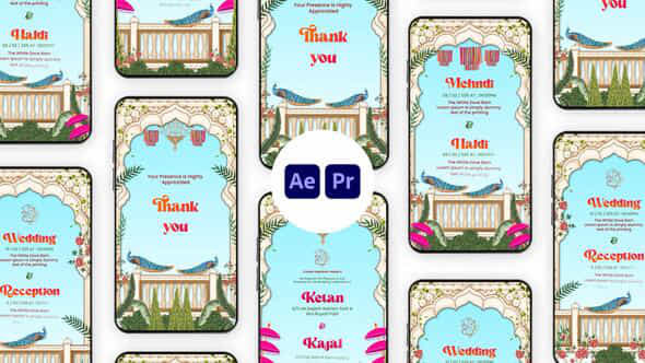 Traditional Indian Wedding Invitation Instagram Story - VideoHive 57990183