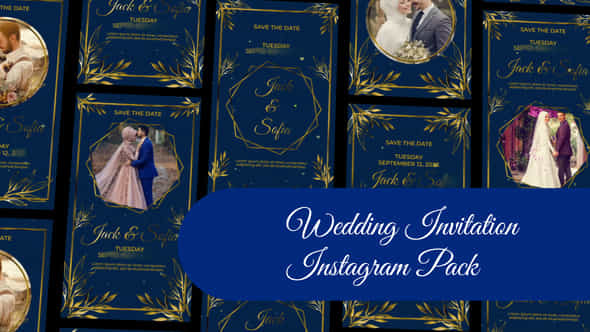 Wedding Invitation Instagram - VideoHive 47200802