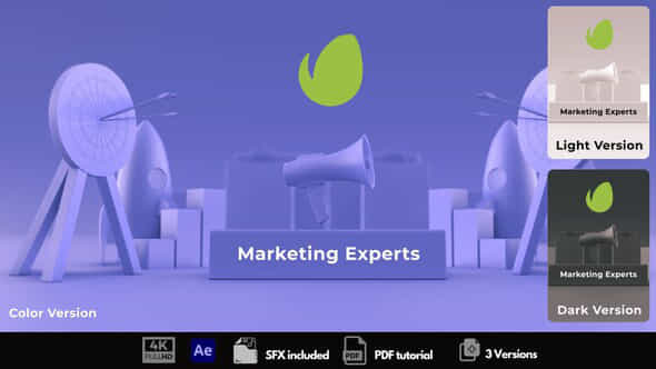 Marketing Experts - VideoHive 50316973