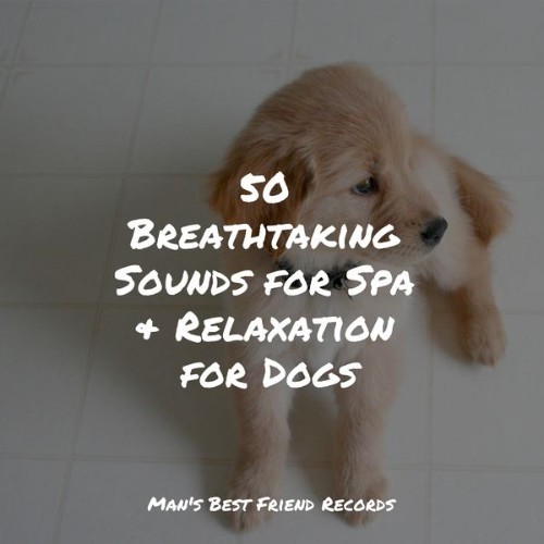 Dog Music - 50 Breathtaking Sounds for Spa & Relaxation for Dogs - 2022