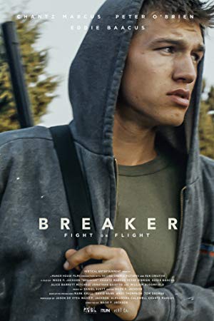 Breaker 2019 WEBRip XviD MP3 XVID