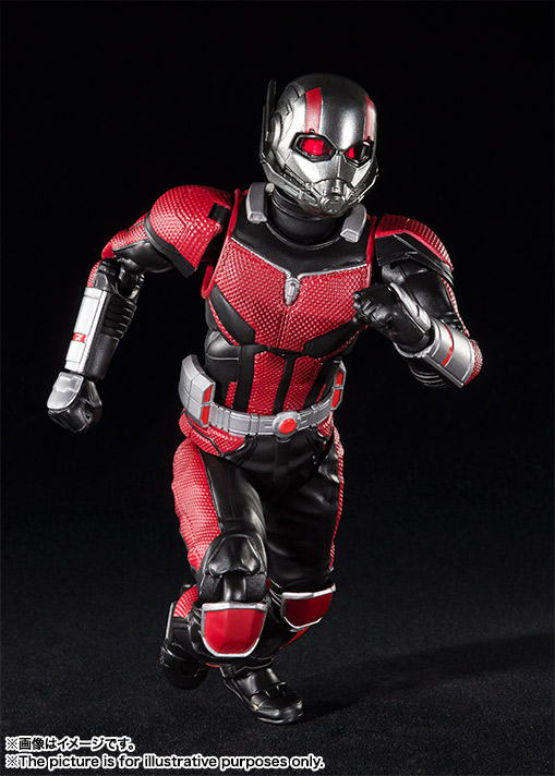 Ant-Man (Ant-Man & The Wasp) (S.H. Figuarts / Bandai) SQ4InzG6_o