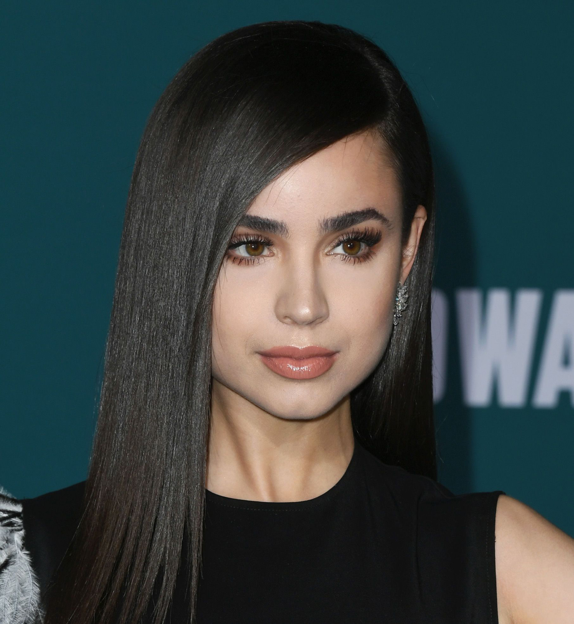 Tags. sofia carson. софия карсон. 